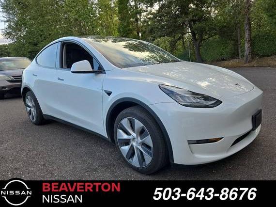 TESLA MODEL Y 2021 5YJYGDEE8MF114362 image